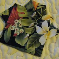 Suzanne Joyce Photo 32