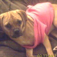 Lola Robinson Photo 29