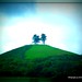 Thomas Spriggs Photo 14
