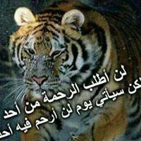 Mohammed Dayekh Photo 4