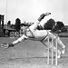 Herbert Evans Photo 32