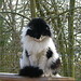 Amy Ericks Photo 3