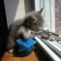 Deborah Hubbard Photo 25