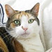 Allyson Foster Photo 6