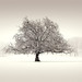 Neil Williams Photo 42