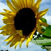 Sherry Long Photo 12