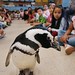 Stephen Dowell Photo 22