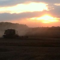 James Newby Photo 37