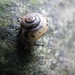 Christina Shell Photo 15