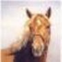 Terri Mcpherson Photo 20
