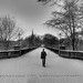 Perry Alexander Photo 20