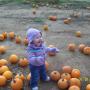 Stephanie Stanley Photo 26