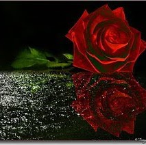 Yvonne Rose Photo 20