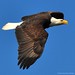 Nanci Hardy Photo 3