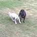 Debbie Justice Photo 14