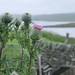 Lewis Sharp Photo 9
