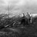 Joy Hedges Photo 10