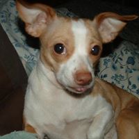 Sue Kiser Photo 11