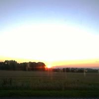 Alexander Andresen Photo 11