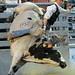 Dean Mcclain Photo 20