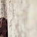 Elizabeth Dan Photo 5