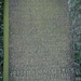 John Leftwich Photo 10