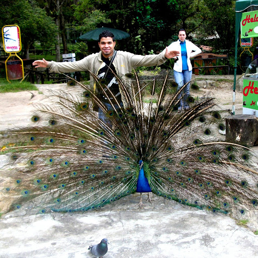Rafael Robles Photo 30