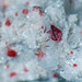 Crystal Catron Photo 9