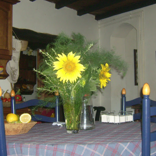 Margarida Rosa Photo 5