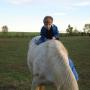 Austin Langston Photo 15