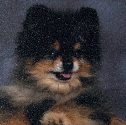 Jerry Hathaway Photo 27