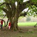 Deborah Ireland Photo 14