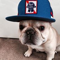 Robert Southerland Photo 11