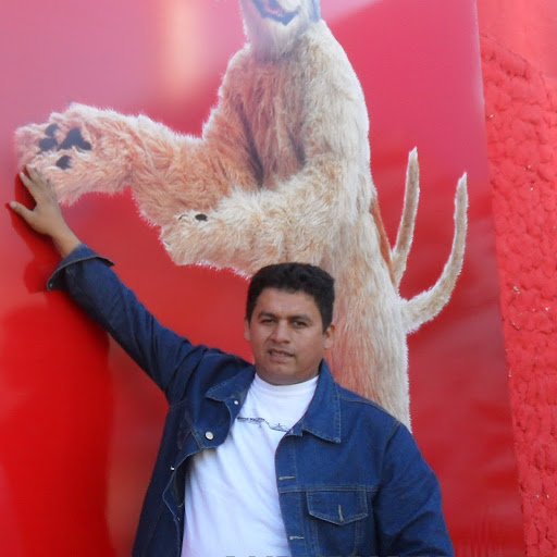 Gerardo Cardozo Photo 6