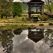 Mark Sutter Photo 10