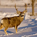 Daryl Hunter Photo 33