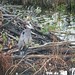 Colleen Wiley Photo 28