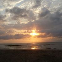Judy Sommers Photo 19