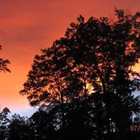 Leslie Herbst Photo 8