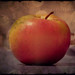 Jerry Apple Photo 13