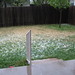 Brandy Cothern Photo 9