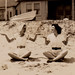 Edith Smith Photo 10