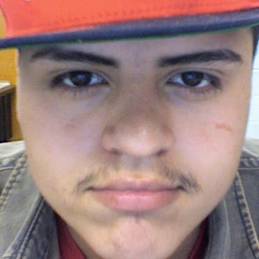 Luis Ocasio Photo 14