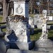 Susan Stone Photo 22