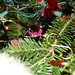 Debbie Garland Photo 23