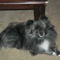 Debra Morey Photo 7