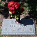 Laurel Harvey Photo 8