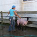 Carroll Lamb Photo 5