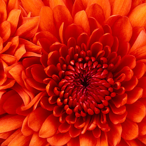 Eliza Robertson Photo 22