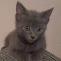 Ted Grey Photo 16